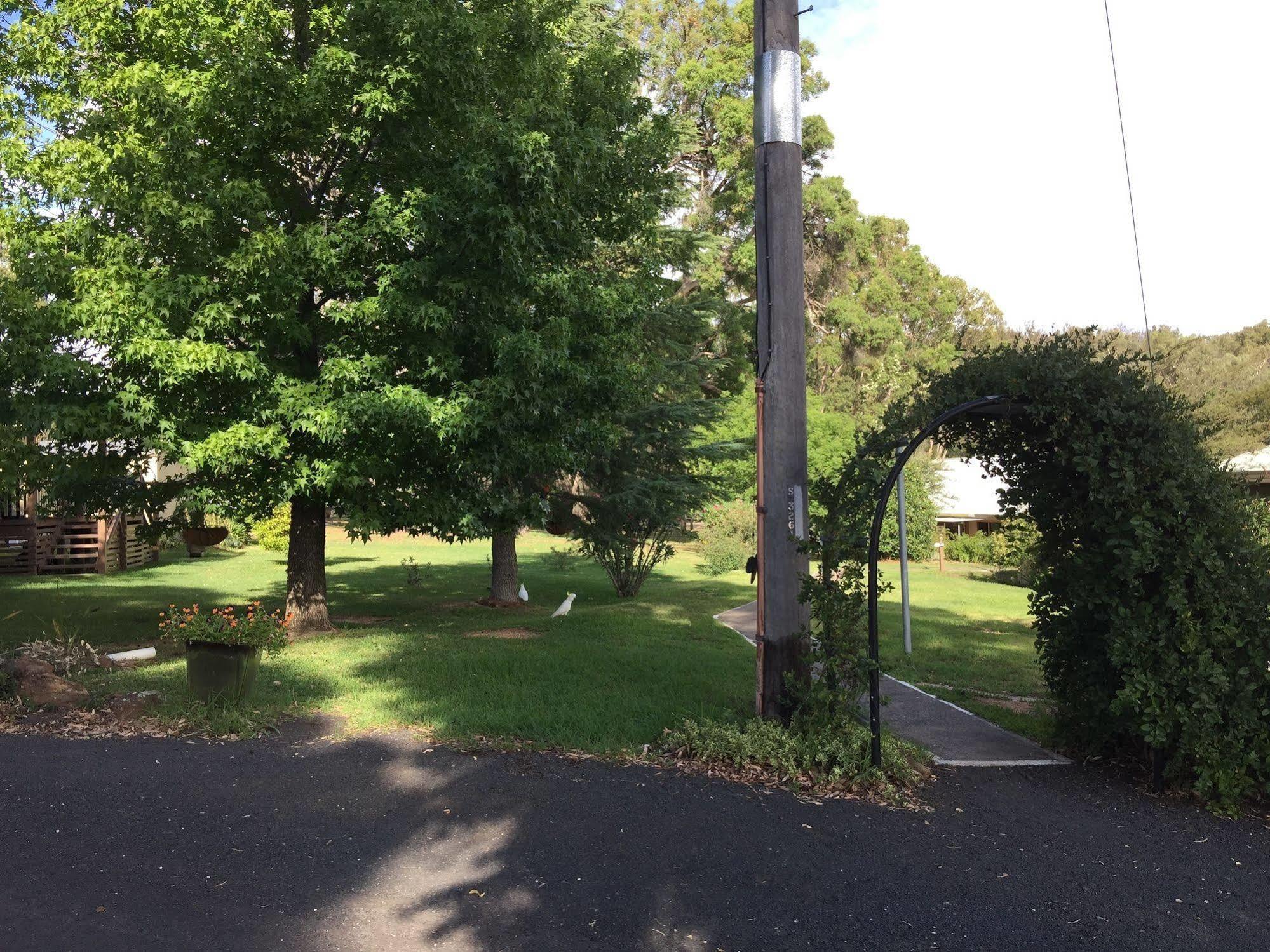Warrumbungles Mountain Motel Coonabarabran Bagian luar foto