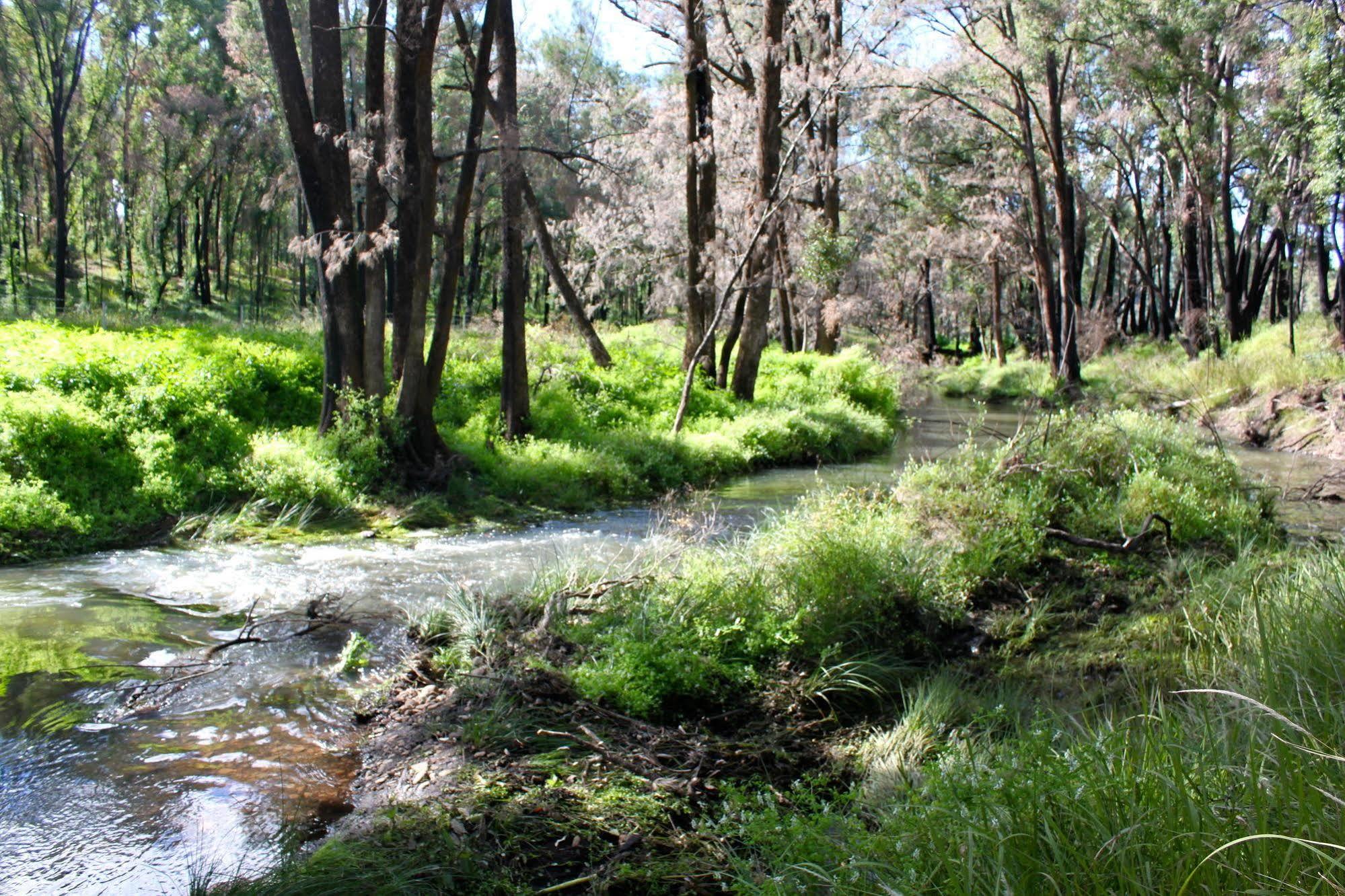 Warrumbungles Mountain Motel Coonabarabran Bagian luar foto